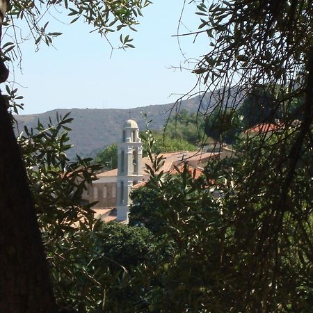 Costa Di Sognu Villa Buitenkant foto
