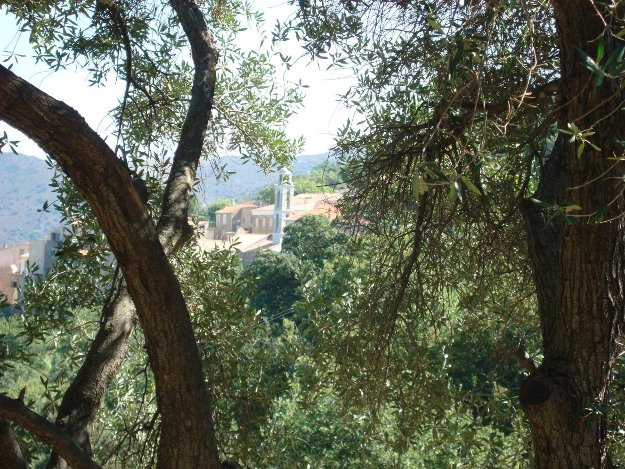 Costa Di Sognu Villa Buitenkant foto