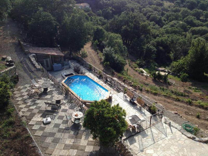 Costa Di Sognu Villa Buitenkant foto