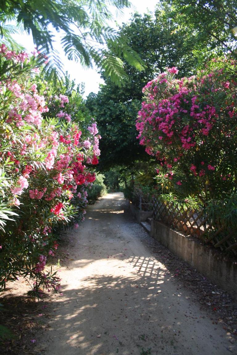 Costa Di Sognu Villa Buitenkant foto
