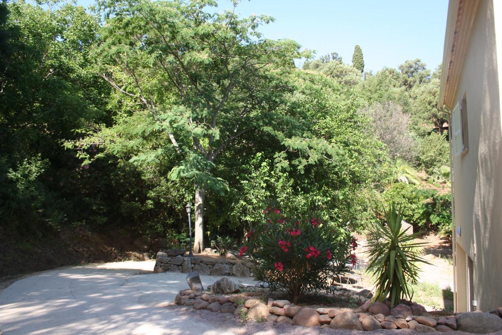 Costa Di Sognu Villa Buitenkant foto