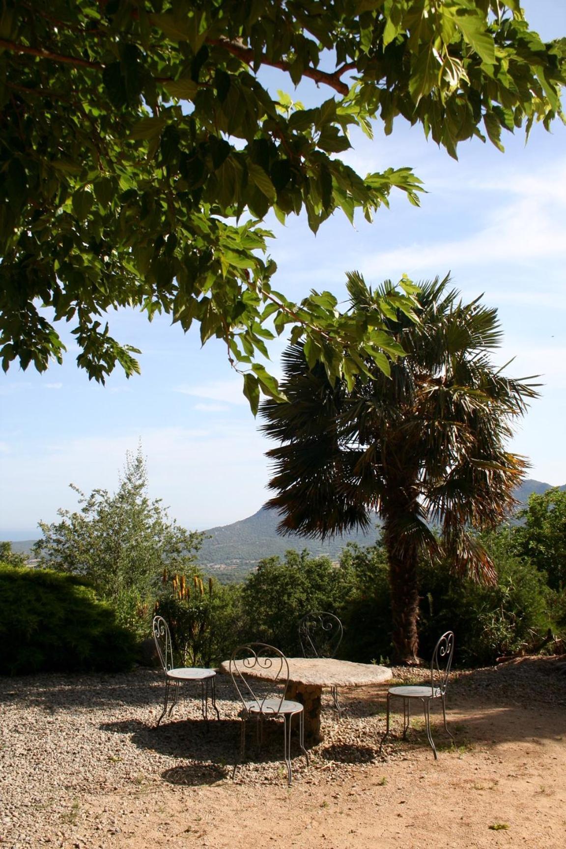 Costa Di Sognu Villa Buitenkant foto