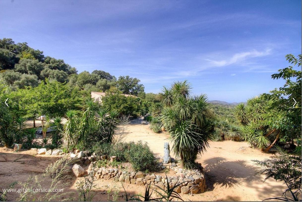 Costa Di Sognu Villa Buitenkant foto
