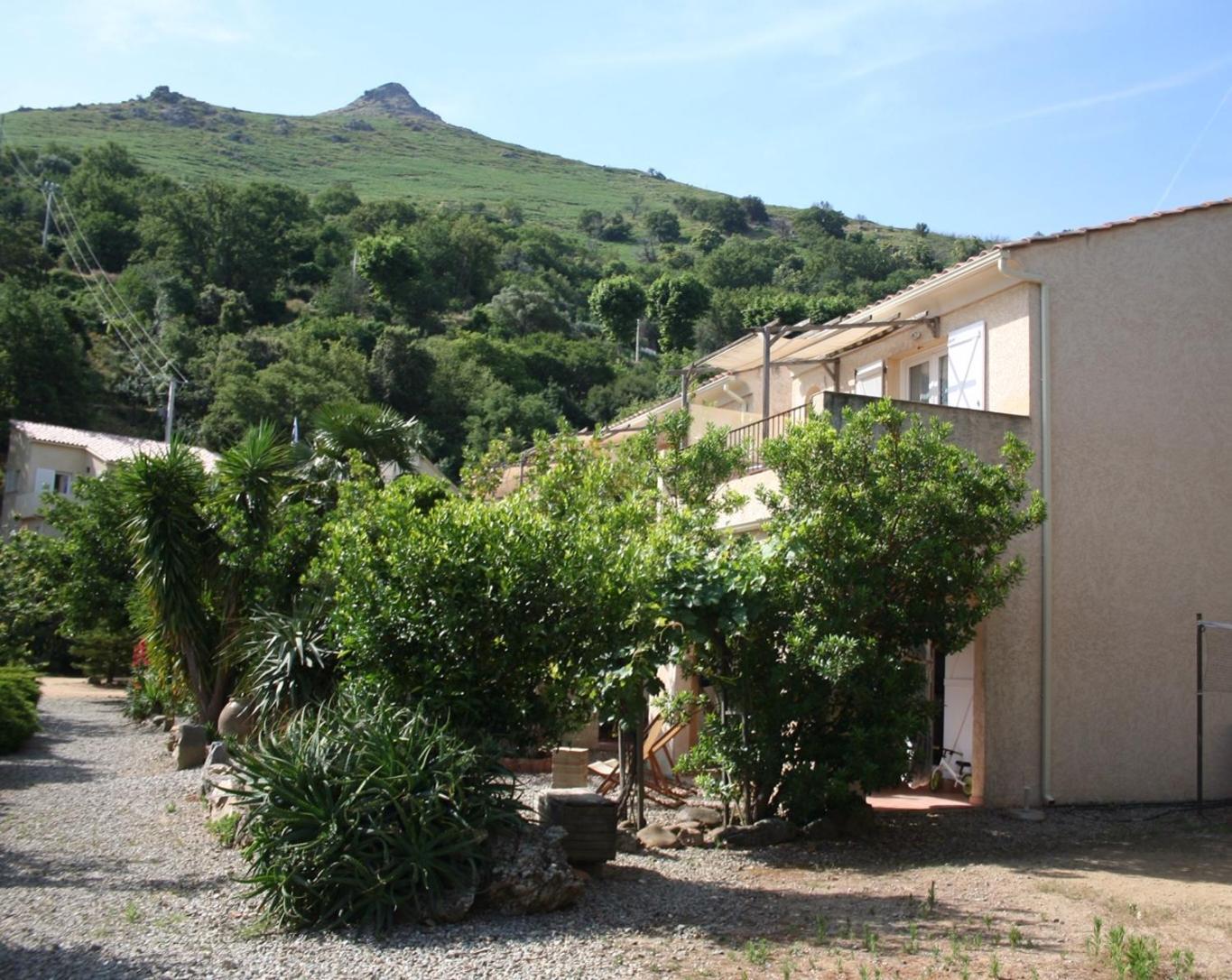 Costa Di Sognu Villa Buitenkant foto